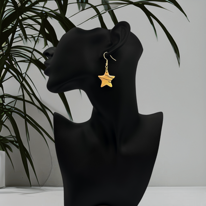 Made With Love Bijoux Tiger Collection Small Star Hook Earrings